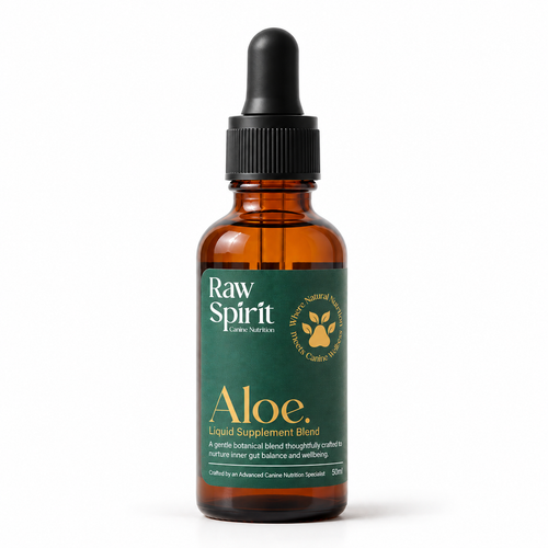 Raw Spirit Aloe liquid supplement blend in an amber glass dropper bottle, 50 ml